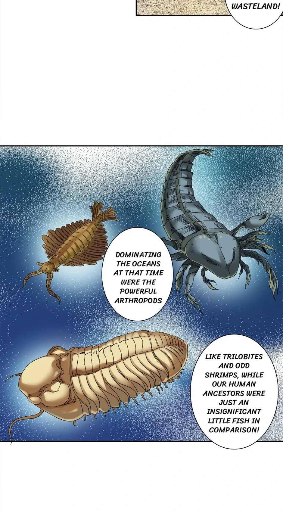 81219995 940 1704 318548