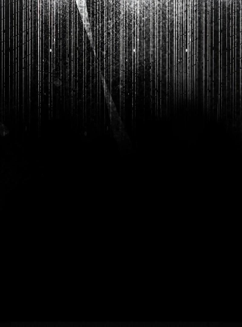 74288171 800 1080 69996